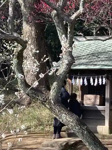 谷保天満宮(東京都)