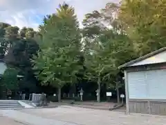 春日部八幡神社の建物その他