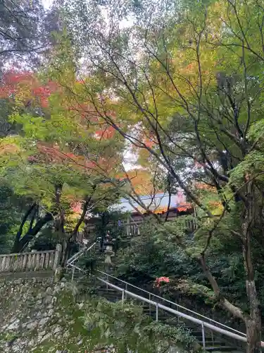 葛木坐火雷神社(奈良県)