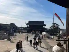 本山専修寺の建物その他