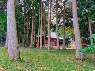 白鳥神社(白鳥町)の自然