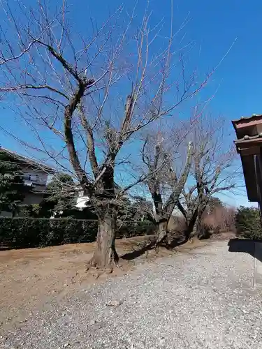 伏木香取神社の自然