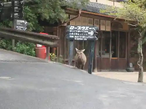 四宮神社(広島県)