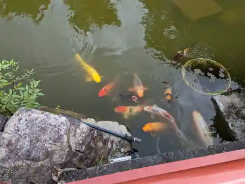 妙満寺(京都府)
