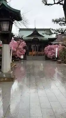 桜神宮(東京都)