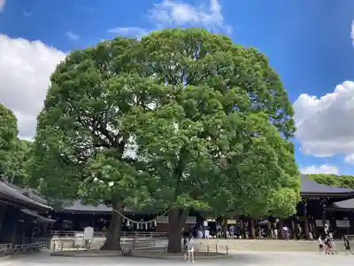 明治神宮(東京都)