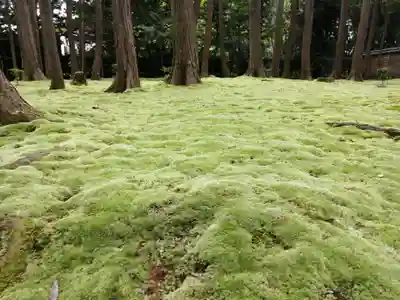 唐招提寺(奈良県)