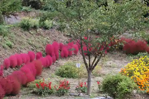 阿久津「田村神社」（郡山市阿久津町）旧社名：伊豆箱根三嶋三社の庭園