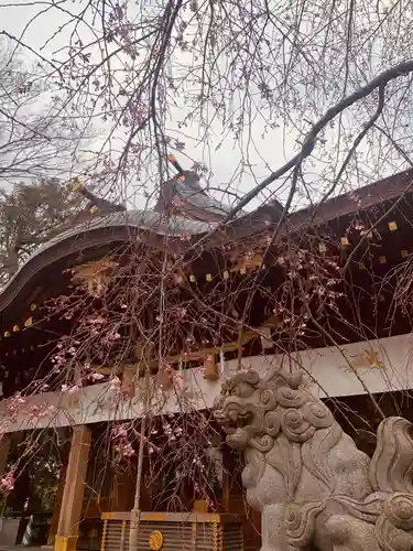 鈴鹿明神社の狛犬