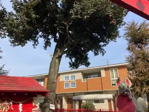 椿稲荷神社(神奈川県)