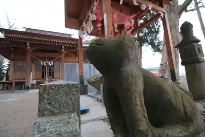 阿久津「田村神社」(郡山市阿久津町)旧社名:伊豆箱根三嶋三社の狛犬
