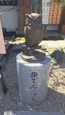 射楯兵主神社(兵庫県)