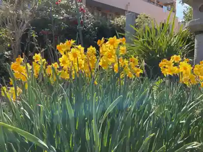 井際山 如意輪寺(愛知県)