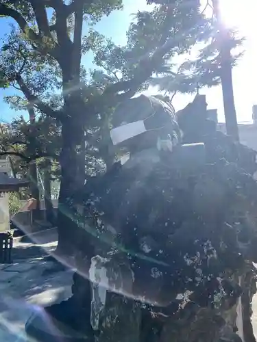 お三の宮日枝神社の狛犬