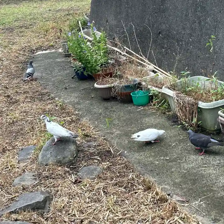 金砂山観音堂(神奈川県)