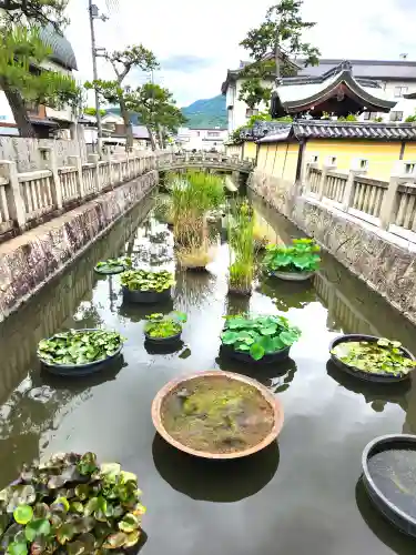 善通寺の建物その他