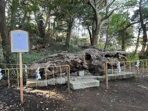 泉神社の建物その他