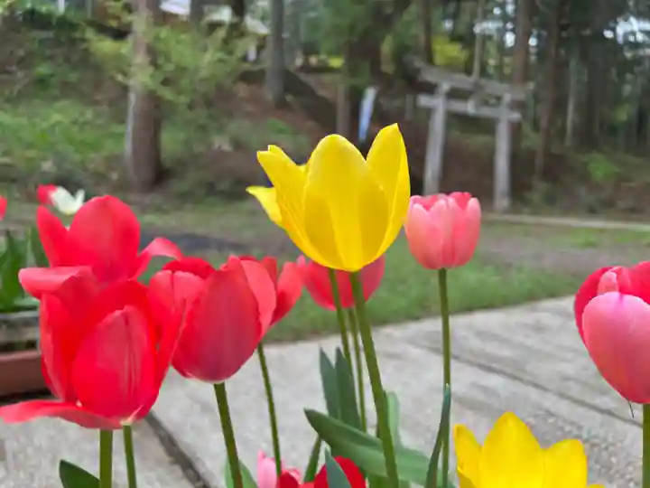 大宮温泉神社(栃木県)
