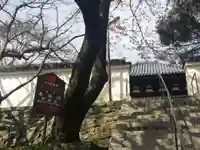 善福院釈迦堂のその他建物