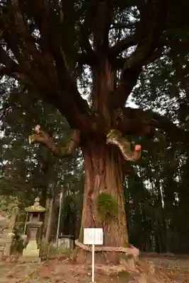 中畑神社(宮崎県)