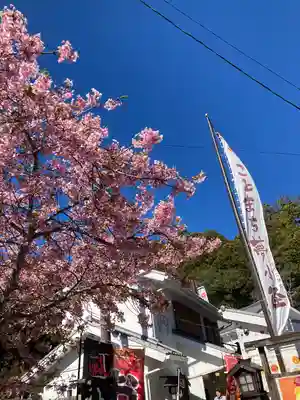 小國神社(静岡県)