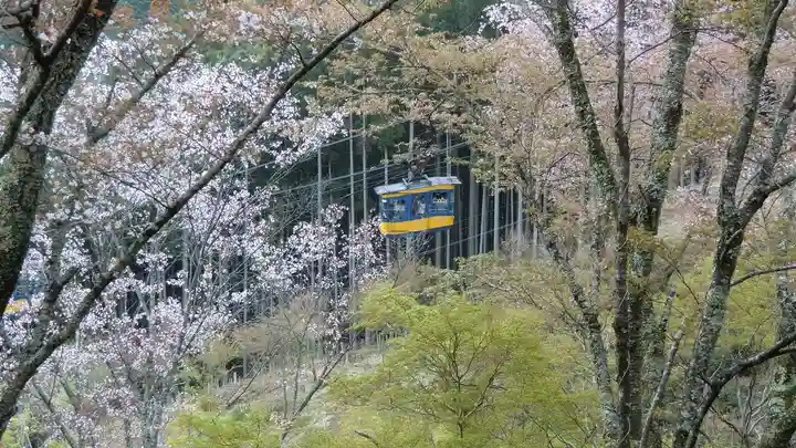 金峯山寺(奈良県)