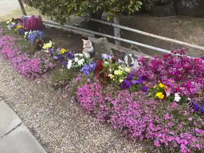 正等山 円福寺の{uncategorized: "未分類", other: "その他", undefined: "問題あり", building: "その他建物", grave: "お墓", sacred_gate: "鳥居", guardian: "狛犬", statue: "像", buddha: "仏像", history: "歴史", nature: "自然", garden: "庭園", animal: "動物", pagoda: "塔", temizu: "手水舎", mountain_gate: "山門・神門", sanctuary: "本殿・本堂", subordinate: "末社・摂社", art: "芸術", scenery: "景色", jizo: "地蔵", ema: "絵馬", goshuin: "御朱印", omikuji: "おみくじ", items: "授与品その他", amulet: "お守り", goshuincho: "御朱印帳", eats: "食事", festival: "お祭り", votive_dance: "神楽", shichigosan: "七五三参", wedding: "結婚式", experience: "体験その他", initially: "初詣", around: "周辺", anti_infection: "感染症対策"}