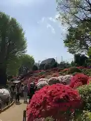 根津神社の庭園