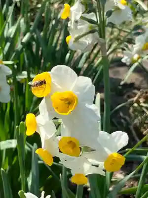 亀戸天神社(東京都)