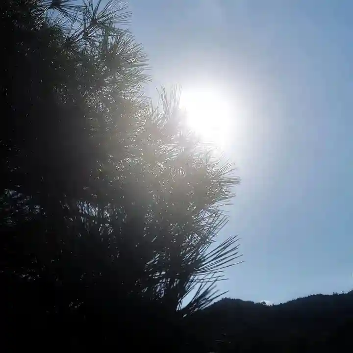 伊勢神宮内宮(皇大神宮)の景色