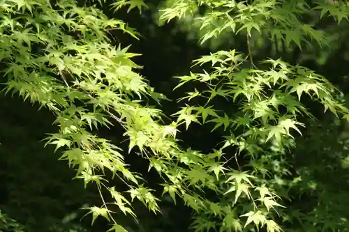 国宝 大法寺(長野県)