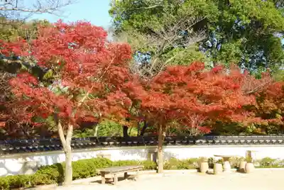 妙徳寺(山口県)