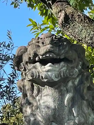 芝東照宮の狛犬