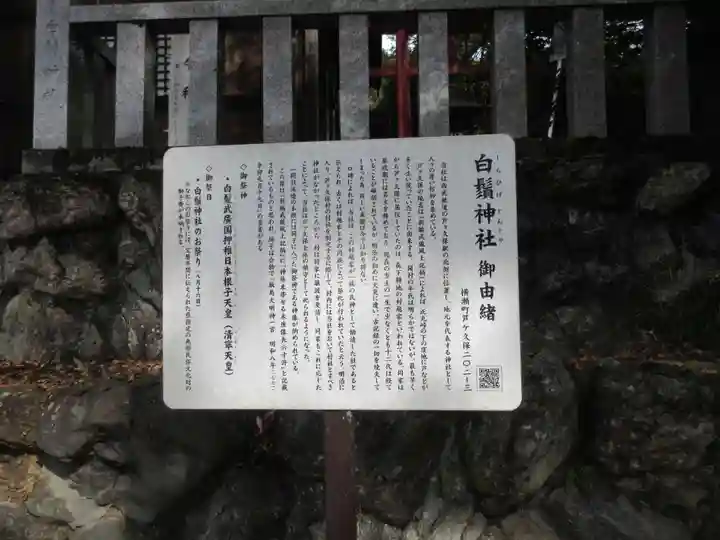 白鬚神社(埼玉県)