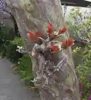 西方山極楽寺(岐阜県)