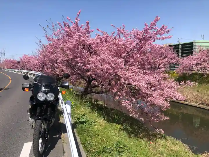 鷲宮神社(埼玉県)