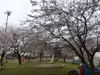 白山神社(福井県)