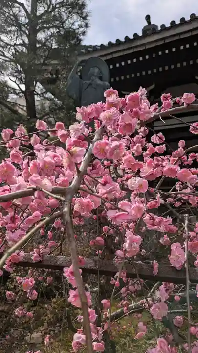 本法寺(京都府)