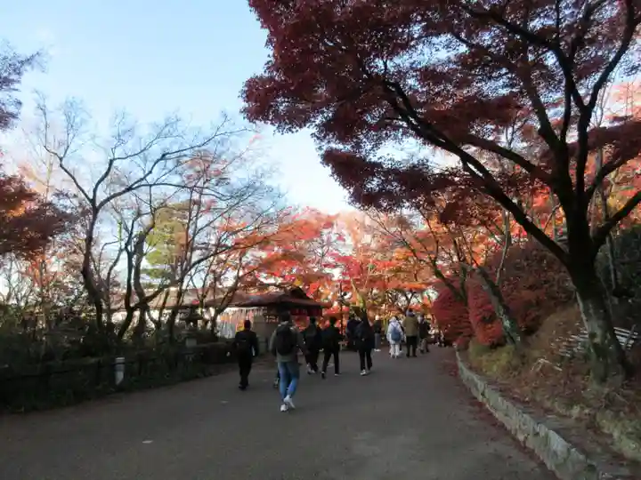 清水寺(京都府)