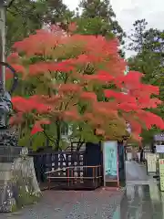 瑞巌寺(宮城県)