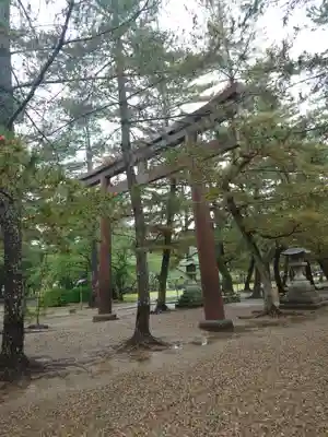出雲大社(島根県)