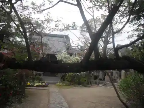 教恩寺のその他建物