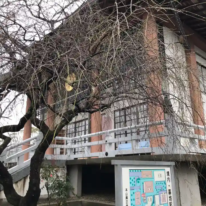 興正寺別院(本山興正寺霊山本廟)の本殿・本堂