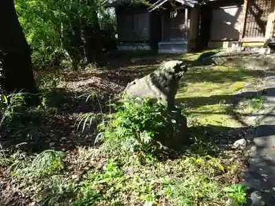 頼政神社の狛犬