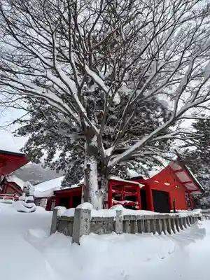 赤城神社(群馬県)