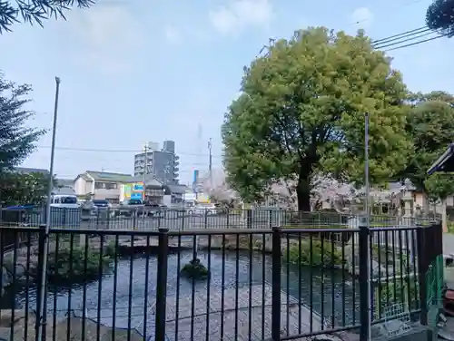 酒見神社の御朱印