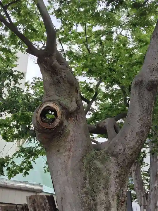 阿邪訶根神社(福島県)