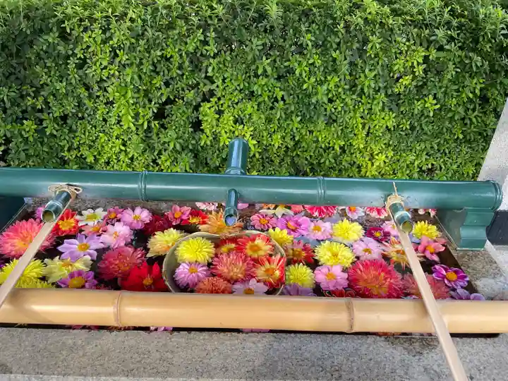 伊和志津神社(兵庫県)
