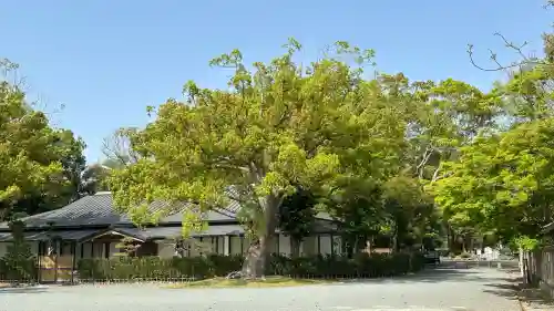 宗像大社(福岡県)