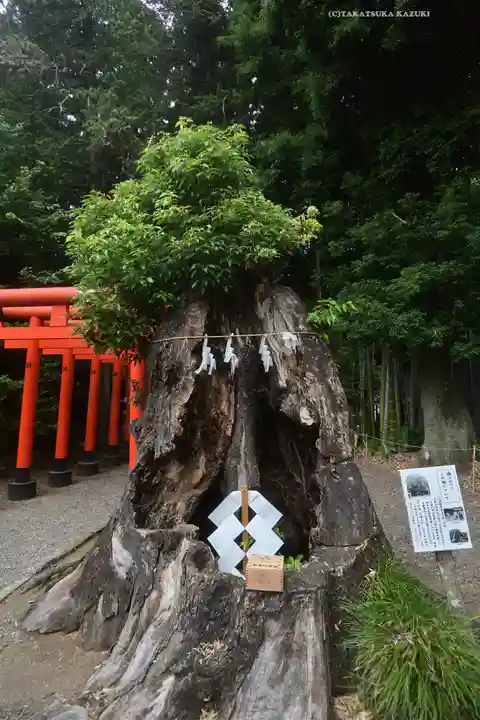 常磐神社(茨城県)